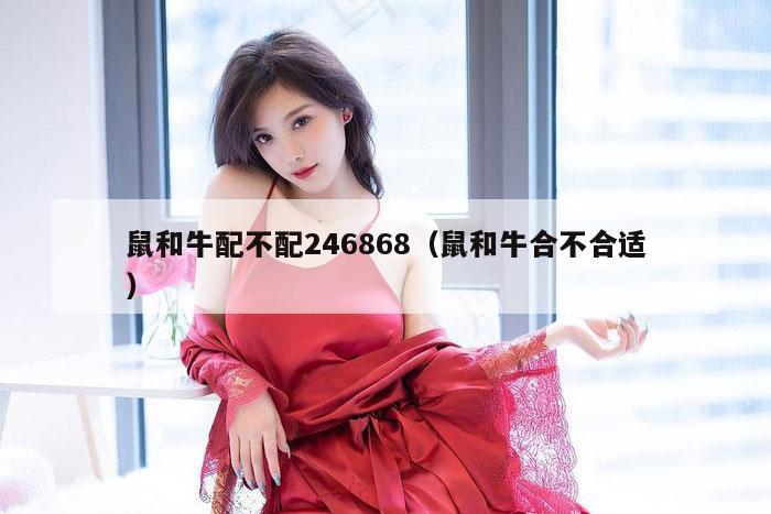 鼠和牛配不配246868（鼠和牛合不合适）