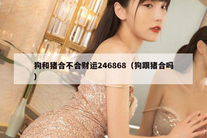 狗和猪合不合财运246868（狗跟猪合吗）