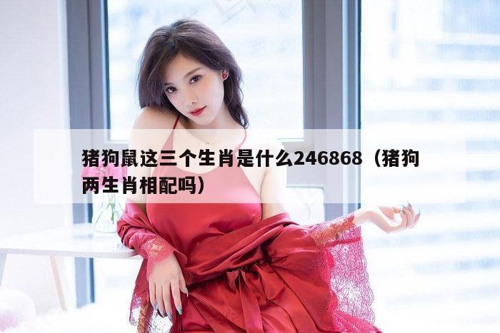 猪狗鼠这三个生肖是什么246868（猪狗两生肖相配吗）