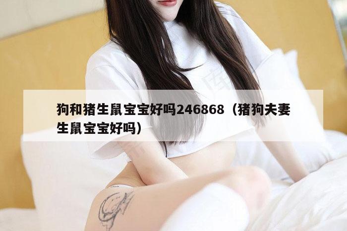 狗和猪生鼠宝宝好吗246868（猪狗夫妻生鼠宝宝好吗）