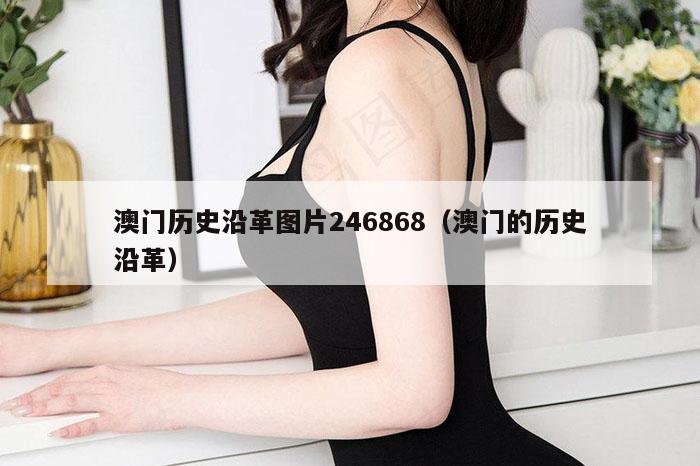 澳门历史沿革图片246868（澳门的历史沿革）