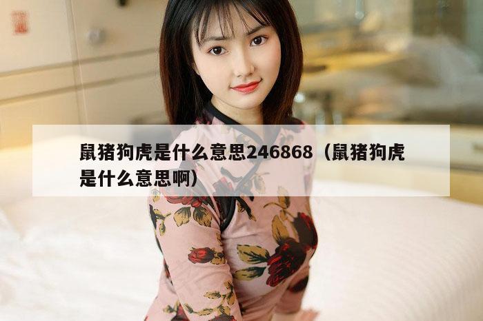 鼠猪狗虎是什么意思246868（鼠猪狗虎是什么意思啊）