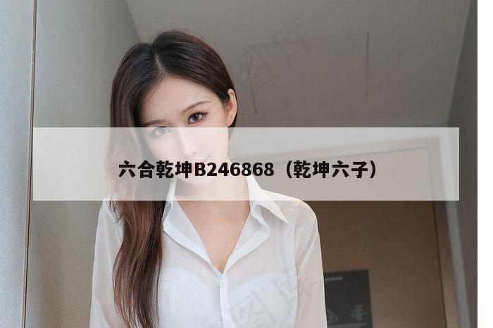 六合乾坤B246868（乾坤六子）
